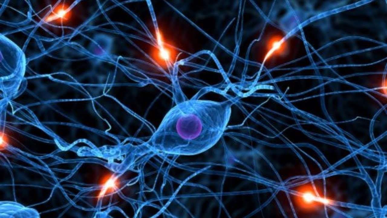 Capire la Complessità – Il Premio Nobel della Fisica a Giorgio Parisi