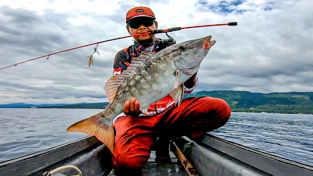 Ketemu Spot Babon² Kelaparan, Joran Legend OXGN UL Poison Melengkung Tajam !!