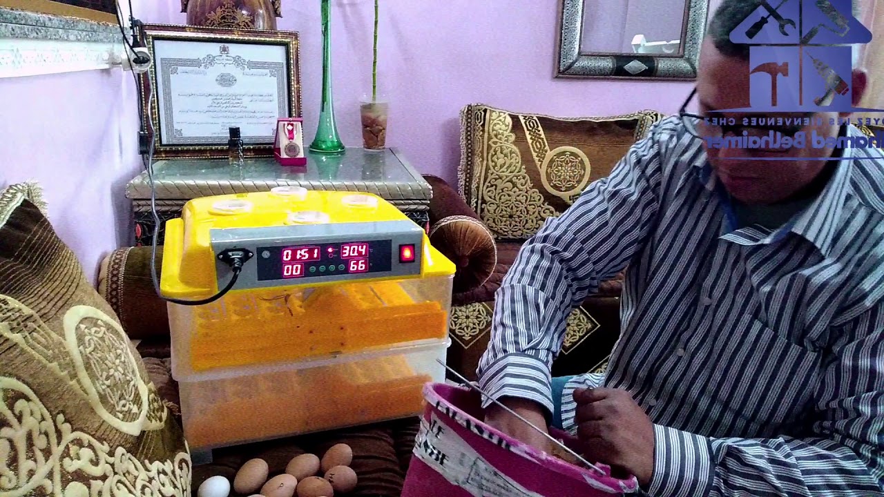 🥚🐓🐔🥚 توعية للأصدقاء البادية  فقاسة إسم   ويلتي.    سعة 112 بيضة