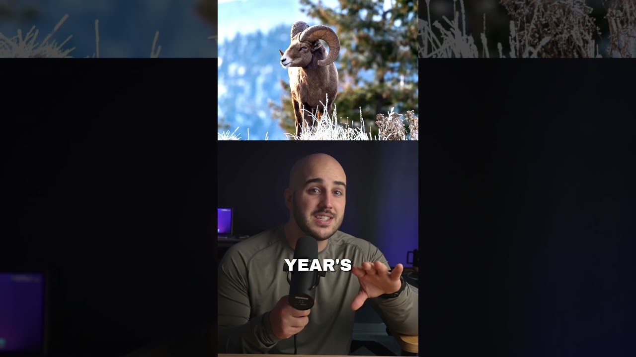 $1.3 Million Bighorn Sheep Tag 🐏 🏷️ #hunting #biggamehunting