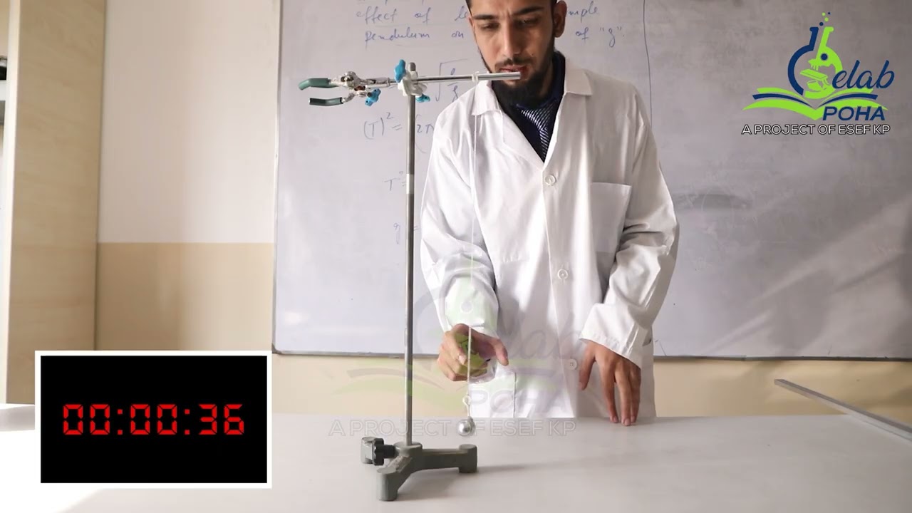Prove that time period of Simple Pendulum is independent of the mass of the Pendulum