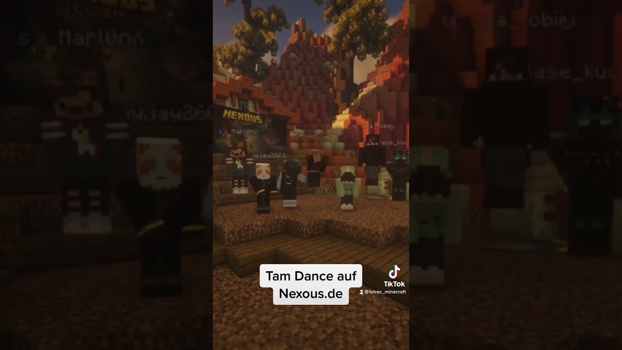 Tam Dance auf Nexous.de #minecraft #citybuild #minecraftserver #shorts