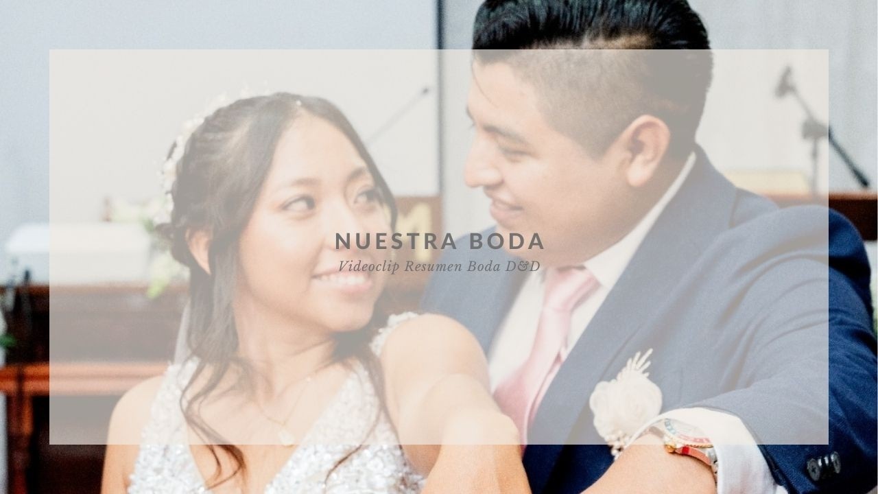 Estefanía - Video Resumen Nuestra Boda / BODA D&D 🤍✨💍
