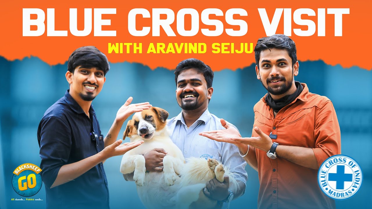 Blue Cross Visit With Aravind Seiju | PET Talks | Blacksheep Go