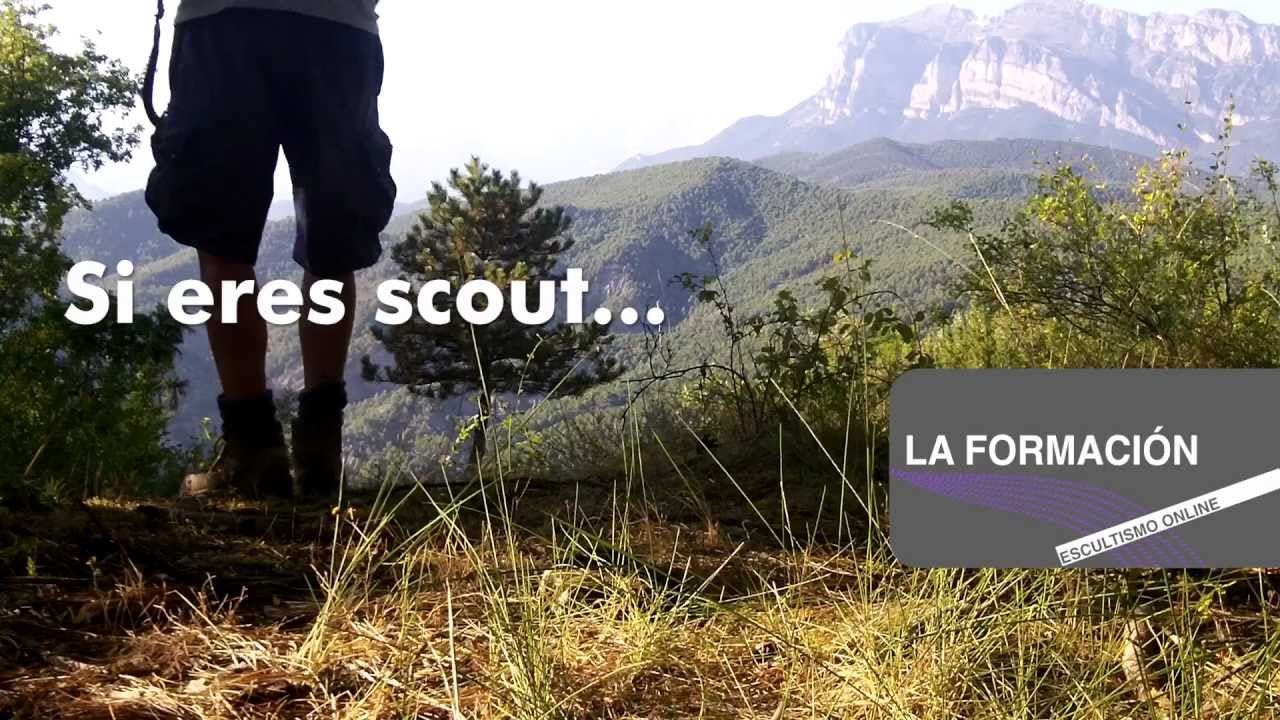 Si eres scout... La Formación