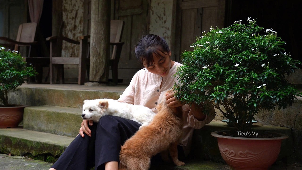The gangster Long’s heart was stirred by the poor female healer, Tieu Vy