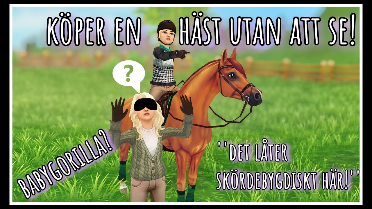 Köper häst utan att se!