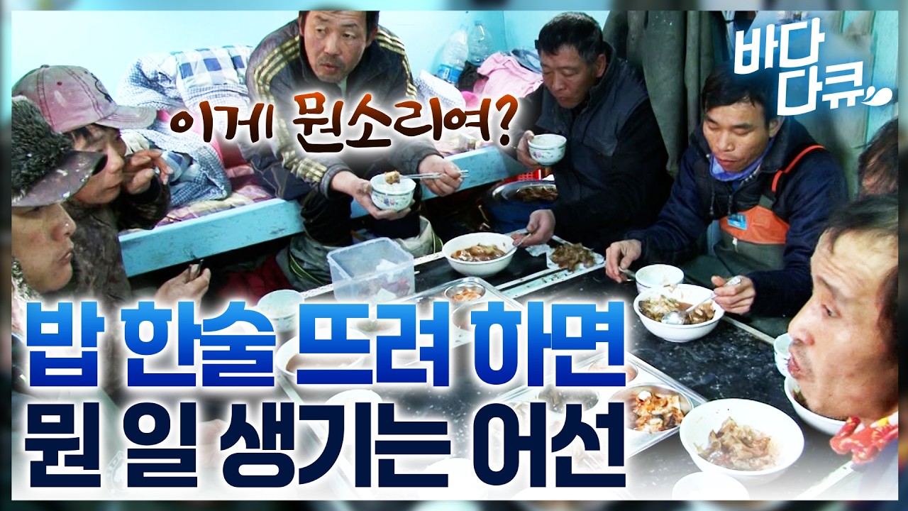 만선도 이런 만선이 없다. 그런데 배에 가득 실은 5톤 생선에도 아쉬움이 역력한 어부들/고된 작업 후 이제 좀 밥 좀 먹나 싶었더니…이번엔 또…/#바다다큐