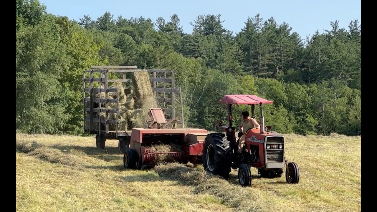 Slamming out 840 bales of July First Cut Hay!