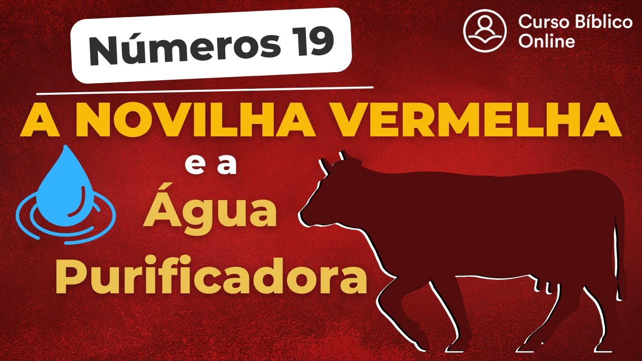 Números 19 - A Novilha Vermelha e a Água Purificadora