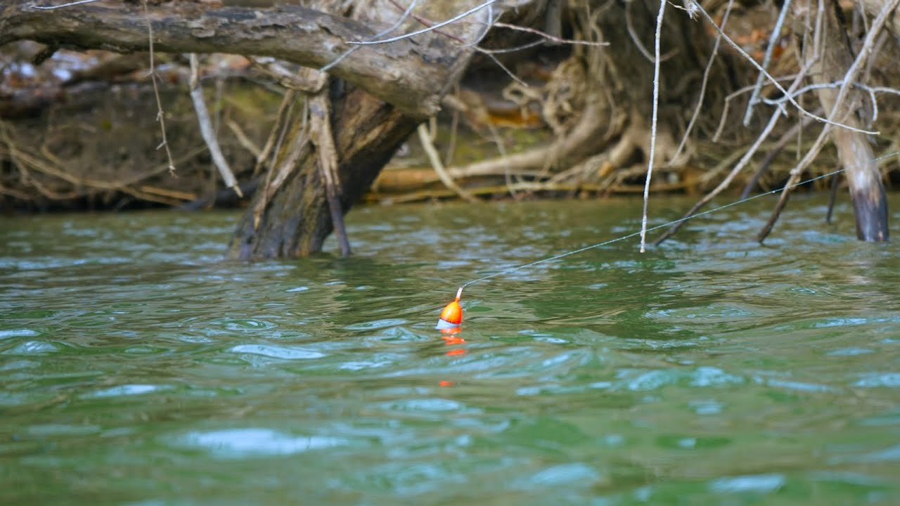 Spring Steelhead Fishing TOUGH Conditions - (EPIC BOBBER DOWNS!)