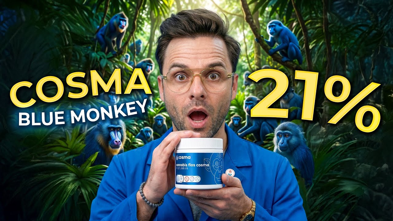 Blue Monkey &ndash; spokojna nazwa, ale wyniki z laboratorium Cię zaskoczą