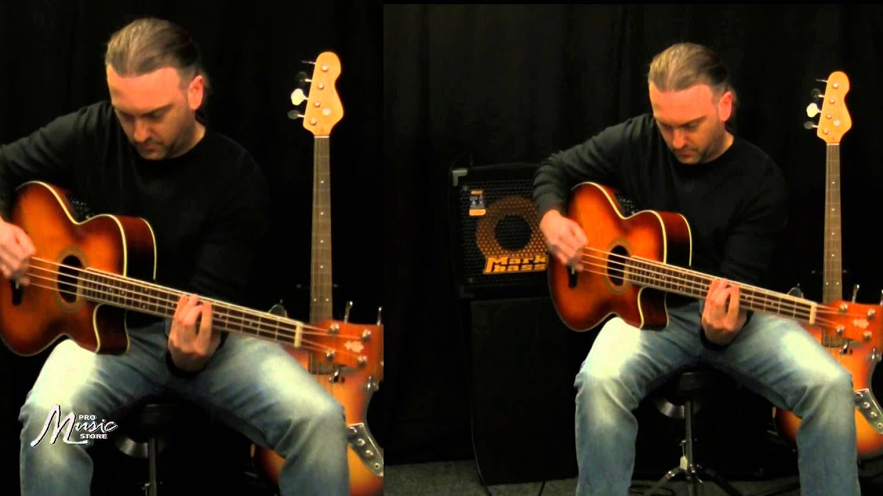 Pro Music Store - Ibanez AEGB20E-VV
