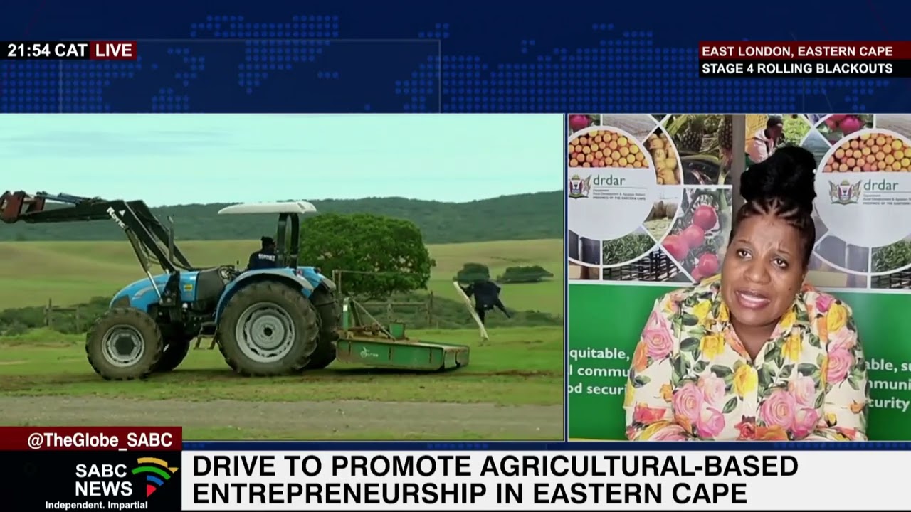 Promoting Eastern Cape's agricultural-based entrepreneurship: Siphokazi Ndudane