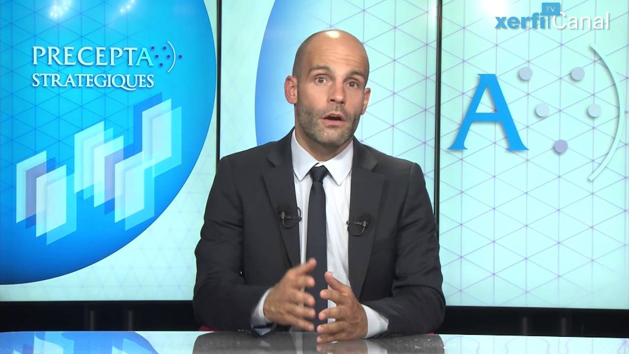 Philippe Gattet, Comprendre   la théorie de la longue traîne et ses conséquences stratégiques