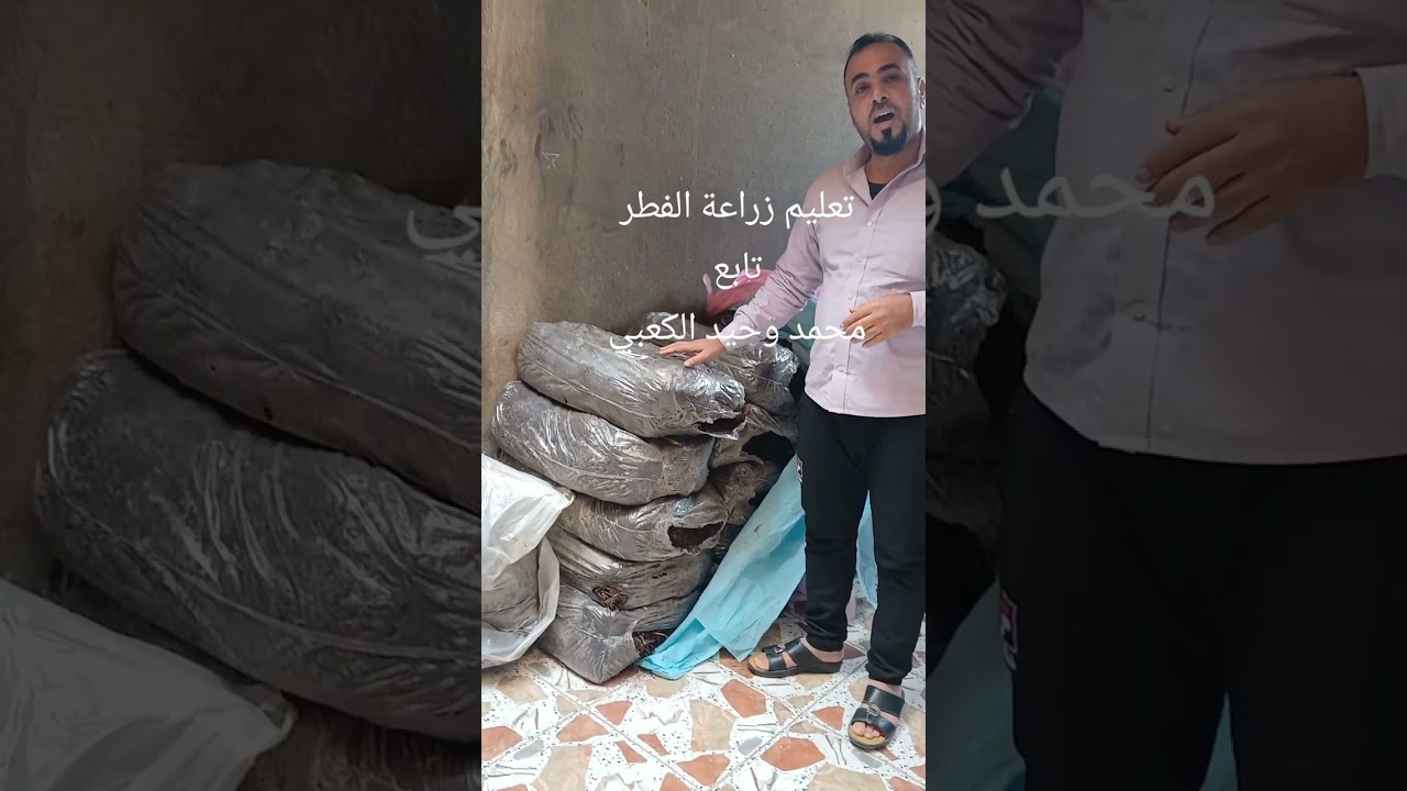 أستلام الكمبوست من شركة الودق. 
