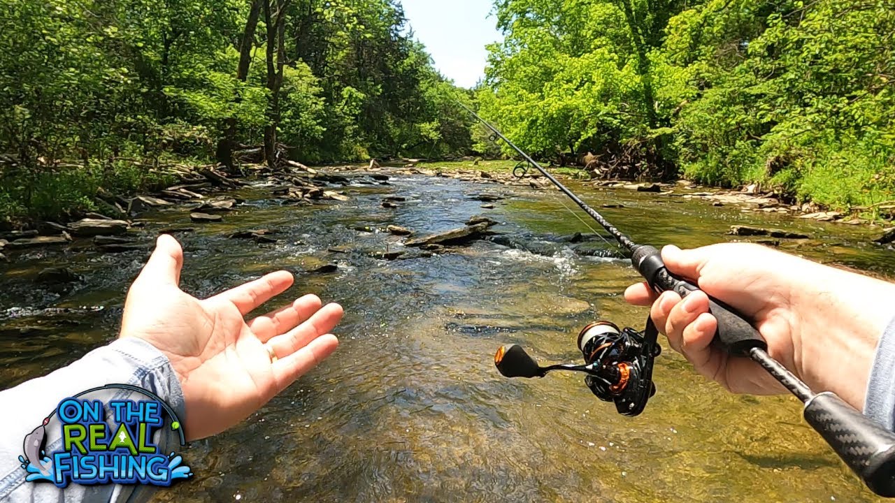 Ultralight Fishing in an Peaceful Urban Creek