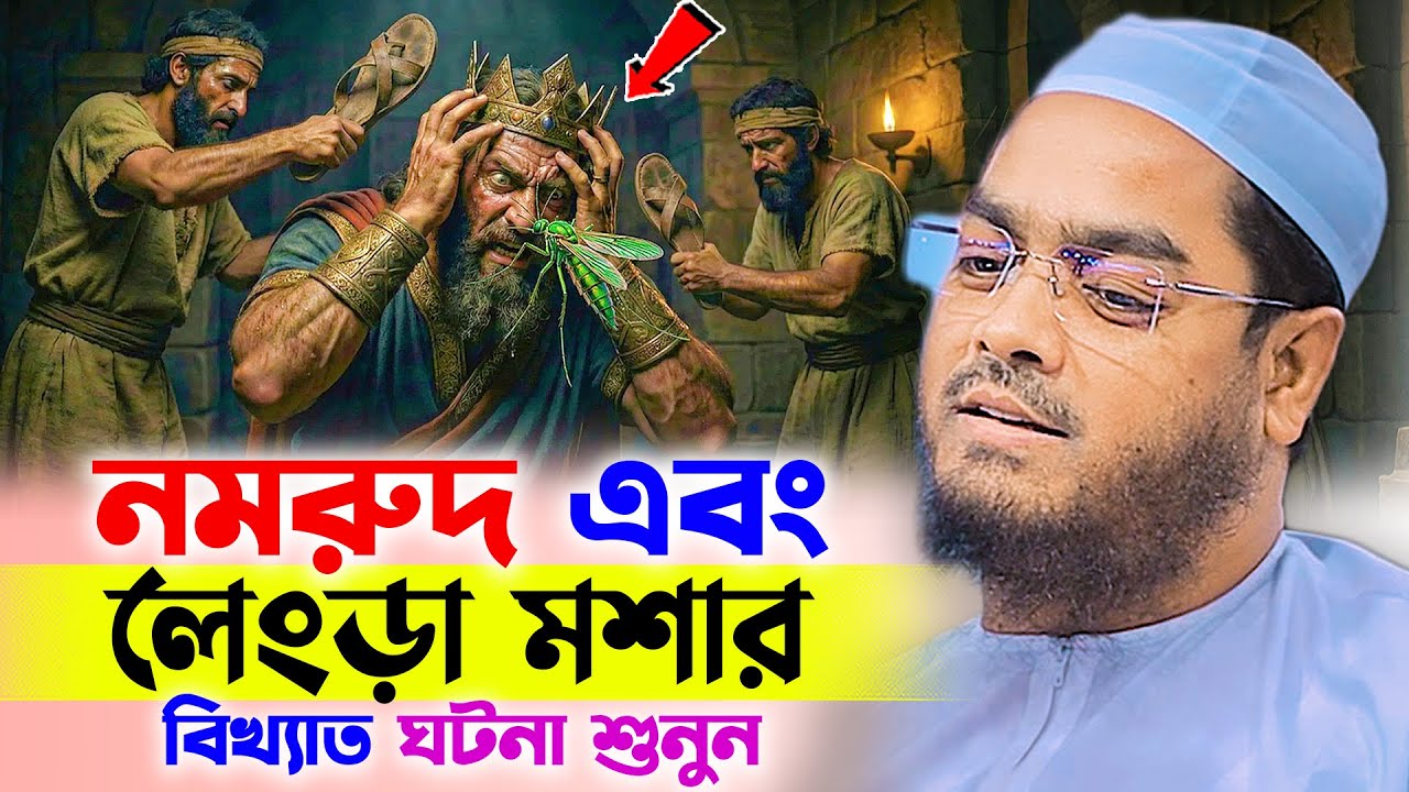 নমরুদ ও লেংড়া মশার মজার ঘটনা । হাফিজুর রহমান সিদ্দিকী । Hafizur rahman waz 2026 । নতুন ওয়াজ ২০২৬