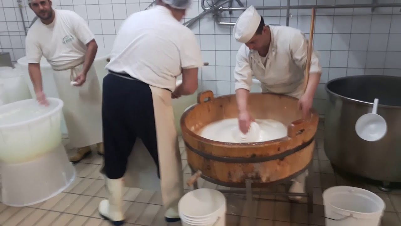 Come fare la Mozzarella di Bufala ... is made in Mondragone !
