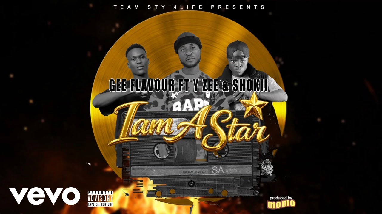 Gee Flavour, Y Zee, Shokii - Iam a Star (Official Audio)