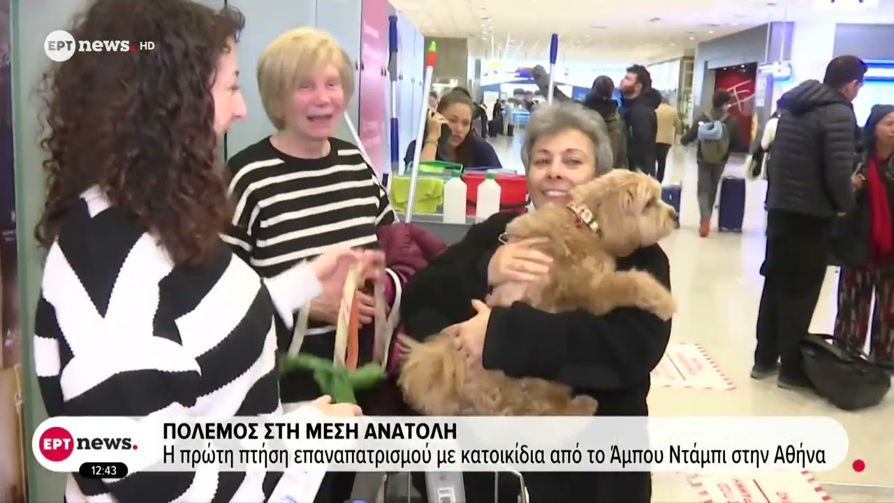 Πόλεμος στη Μέση Ανατολή: Η πρώτη πτήση επαναπατρισμού με κατοικίδια από το Άμπου Ντάμπι στην Αθήνα