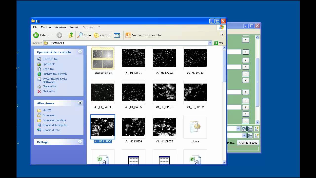 CELL PROFILER