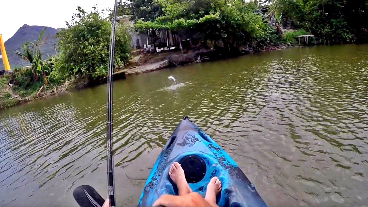 Pescaria de robalo com plug no rio