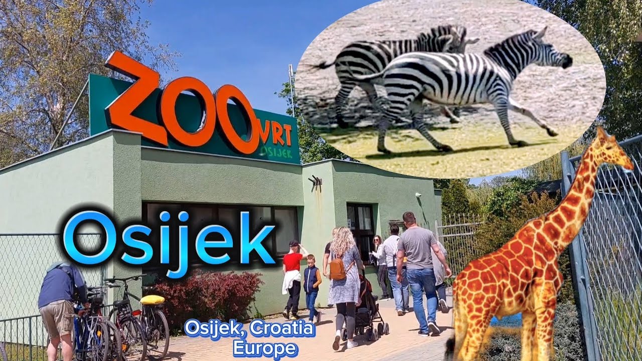 Zoo Osijek / Visiting / Osijek, Croatia (Europe) @ginnicah