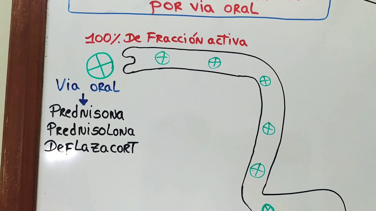 Farmacocinética y farmacodinamia de los corticoides por vía oral