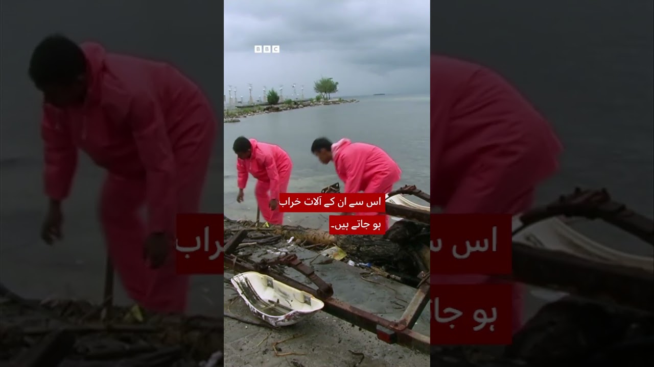 Rubbish 'island' floats off the coast of Indonesia - BBC URDU