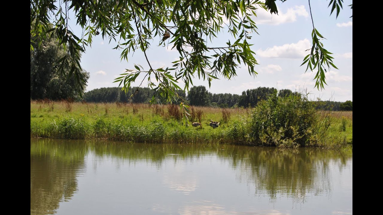 Vlog 8  Vlog  rondje oud Puttershoek 1
