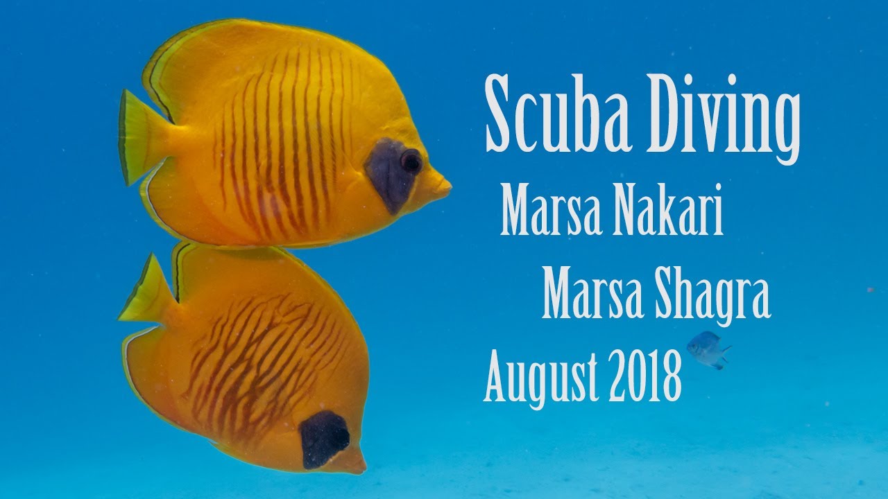 Scuba Diving - Marsa Nakari and Shagra [2018] remake