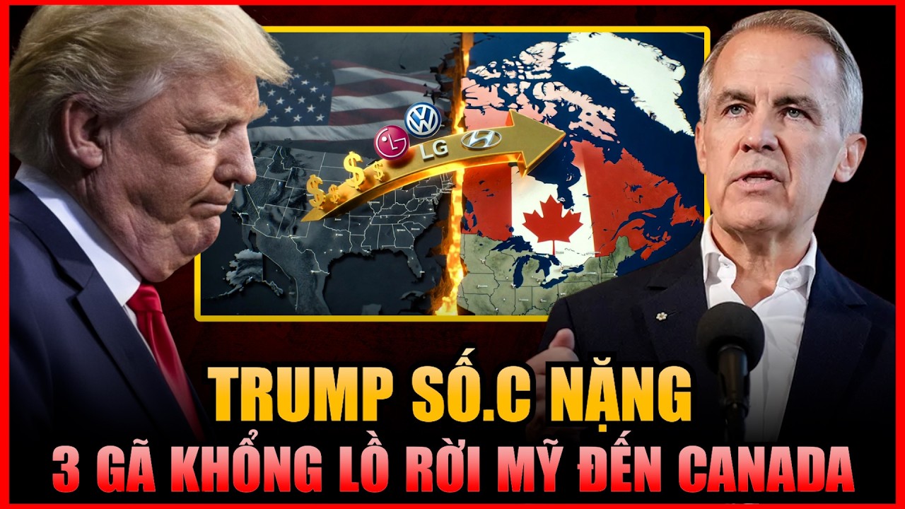 CÚ SỐC 2026: 3 TẬP ĐOÀN TỶ ĐÔ 