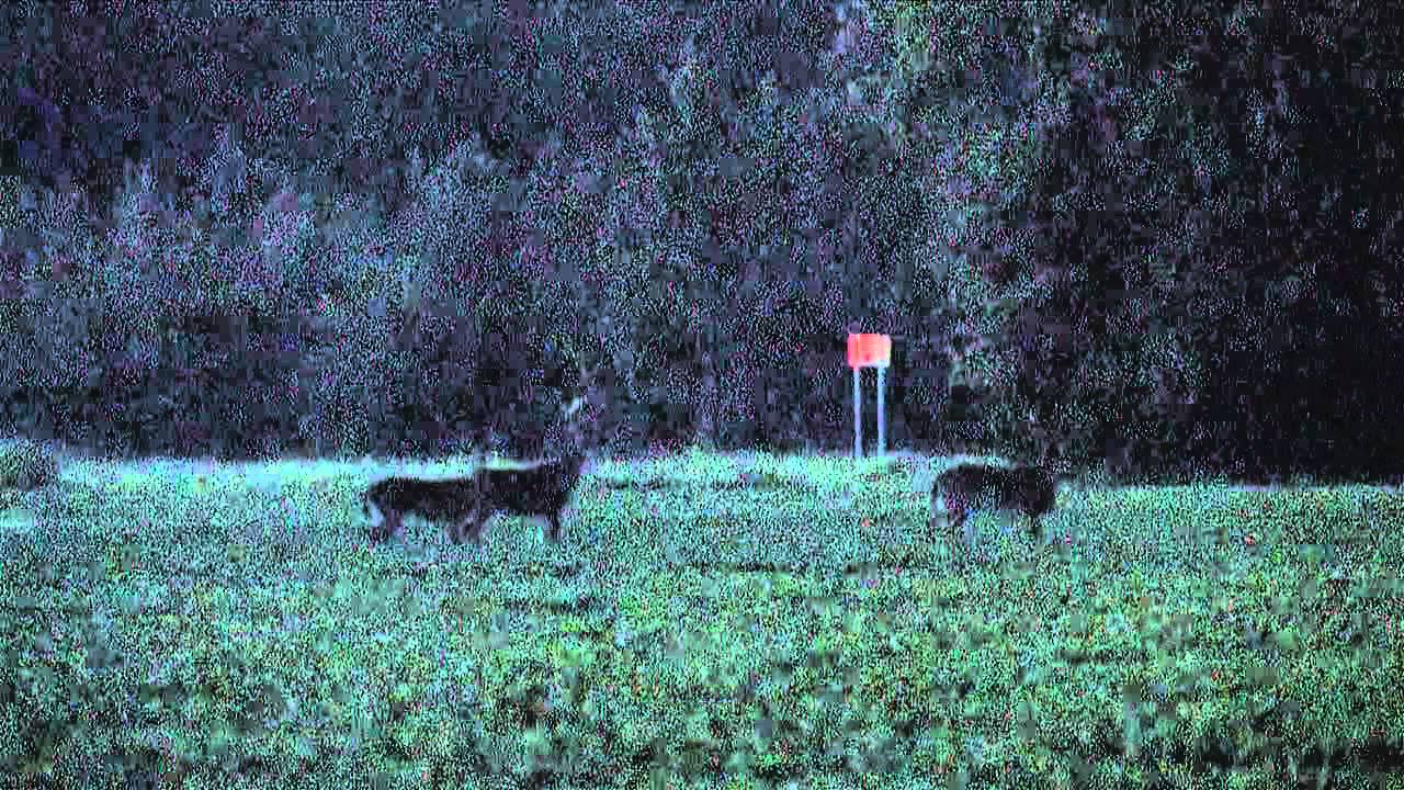 Burris Eliminator Ultra Low Light - South Carolina Trophy White Tails