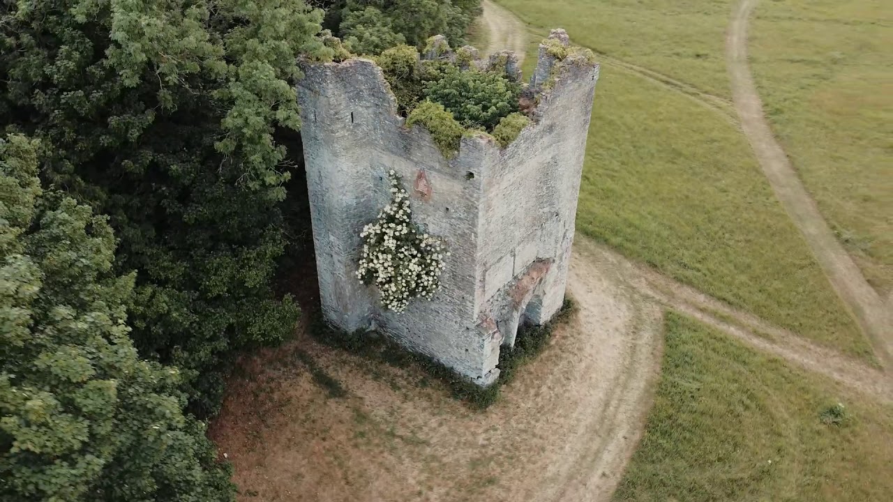 Newbridge House Demesne Drone Footage | Ireland