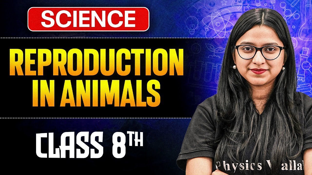 Reproduction In Animals Class 8 Complete Chapter || Science Class 8 || Ankita Ma'am