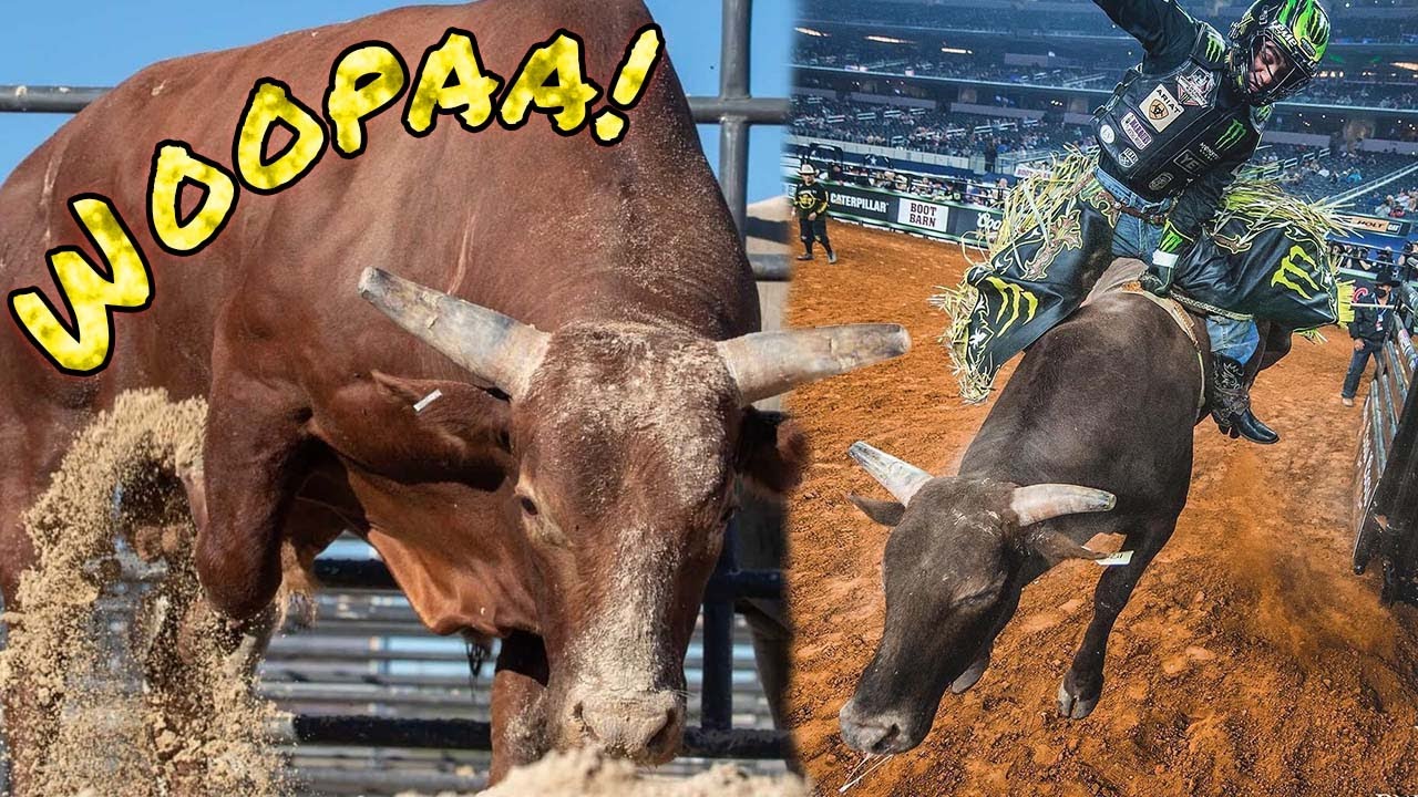 TOURO WOOPAA 🐂 O Campe&atilde;o Mundial Voador 🌠 Melhores Momentos
