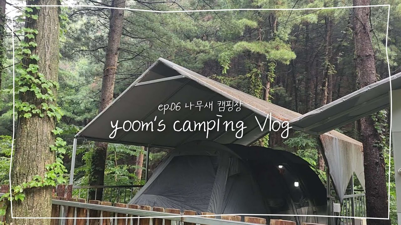 yoom's camping | 포천 나무새 캠핑장 프레쉬존D2 #산속캠핑  #윰즈캠핑 #윤듀 #브이로그