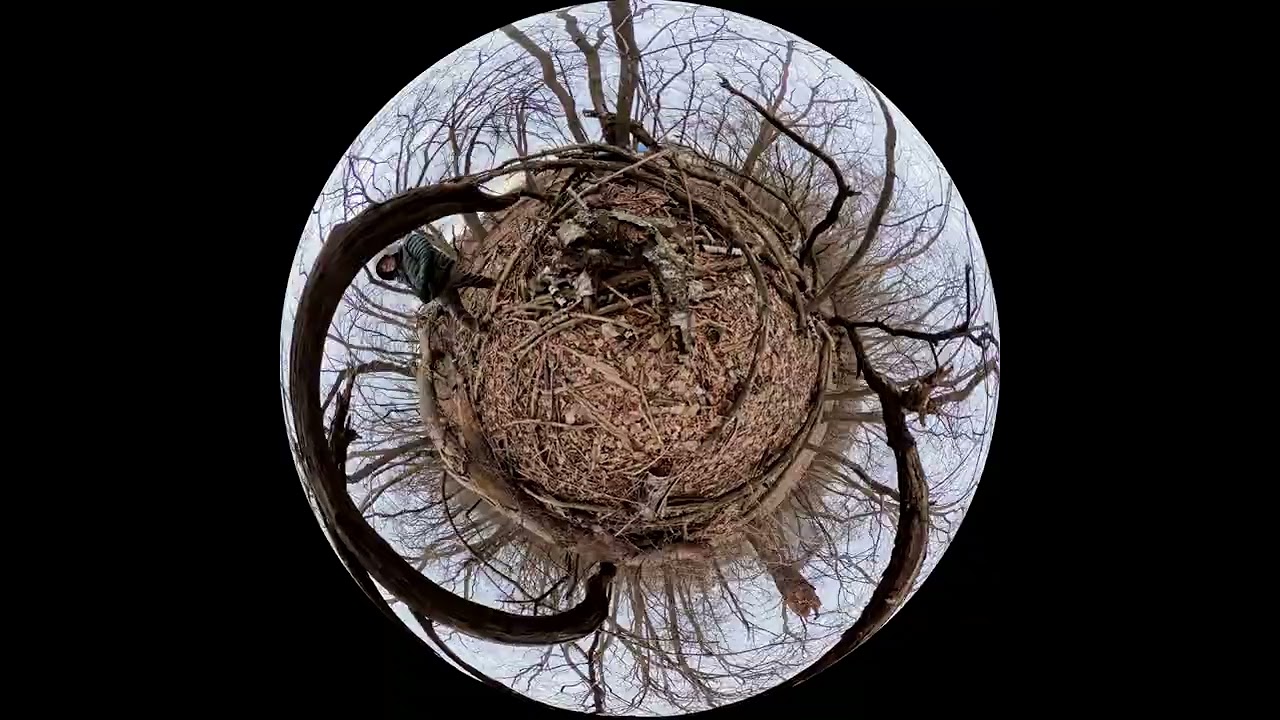 Charles River Abattoir, Jan 2026 #8 (360-degree FRITTER) 4K