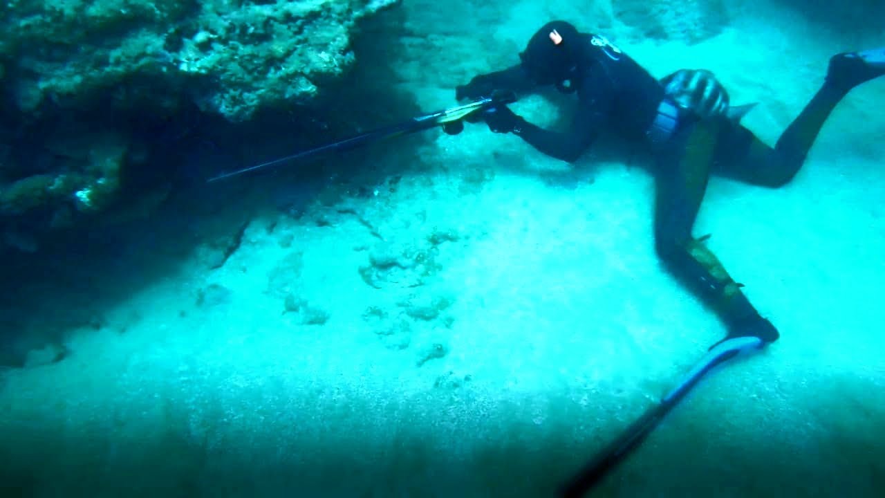 Chasse sous marine  Maroc 2020, Atlantique Spearfishing, Pesca Submarina  غوص حر, صيد سمك