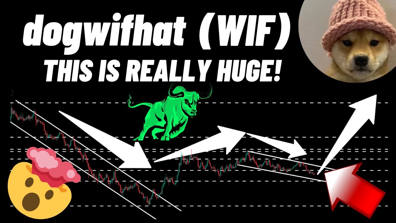 This Is Really Huge for dogwifhat Coin! WIF Crypto New & Price Prediction 2025!