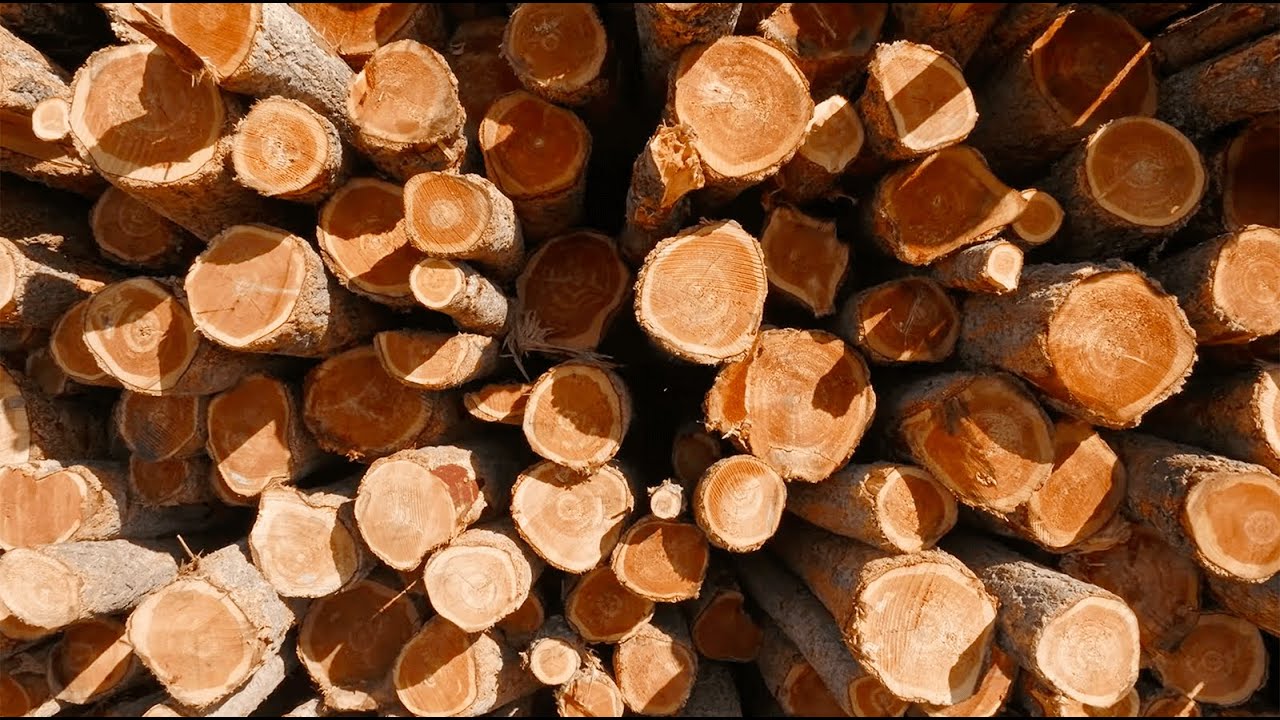 From Timber to Table &mdash; a Galt Museum mini-documentary