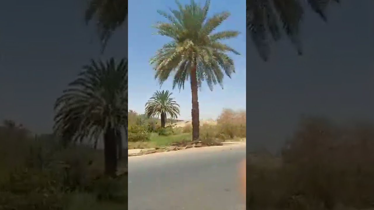 مخرج مدينة موط عاصمة مركز الداخلة بالوادي الجديد نحو مدينة القصر