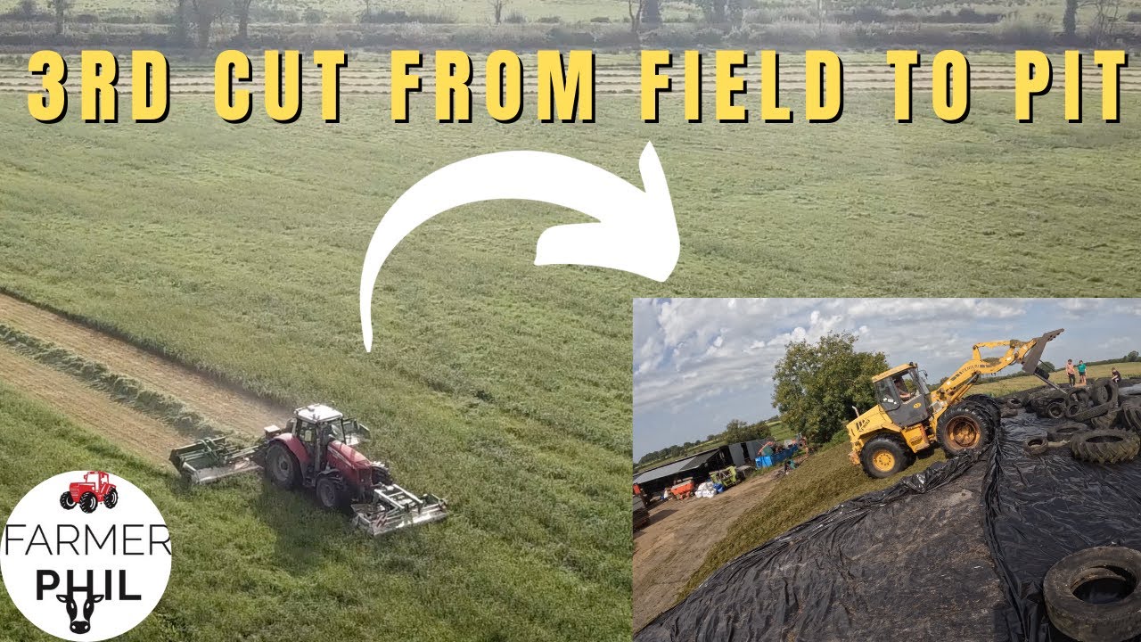 EPIC SILAGE VIDEO!! | 3RD CUT SILAGE FROM FIELD TO PIT