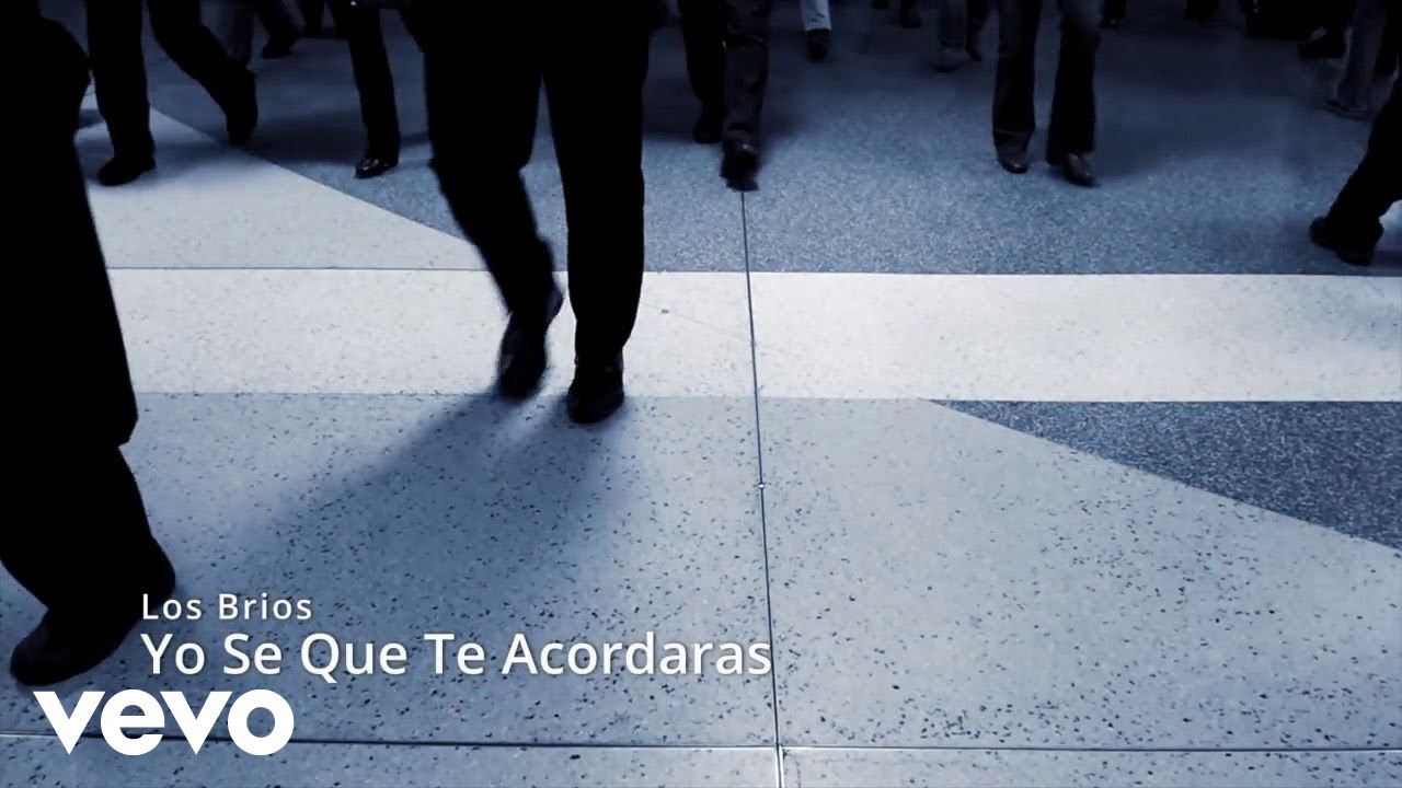 Los Brios - Yo Se Que Te Acordaras (Visualizer)