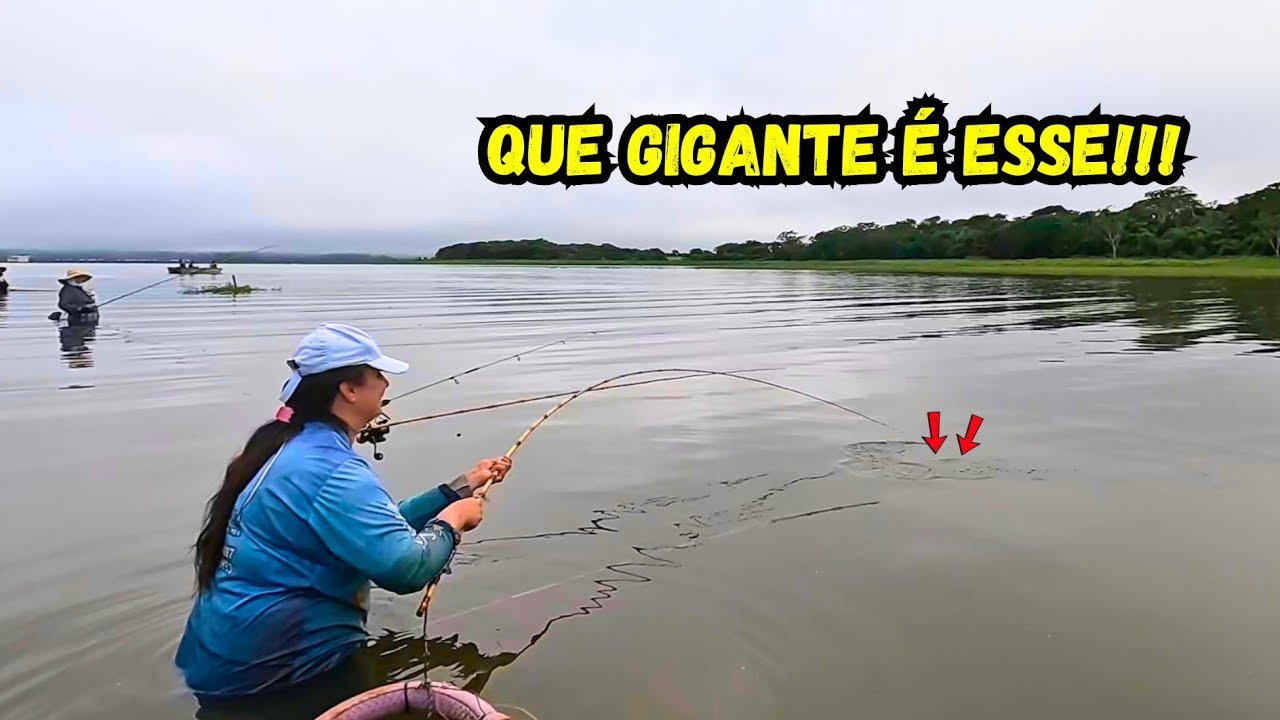 PESCARIA RAIZ EM RIOLÂNDIA! Quando vi o TAMANHO… não acreditei! Tilápia e Piau gigantes 😱