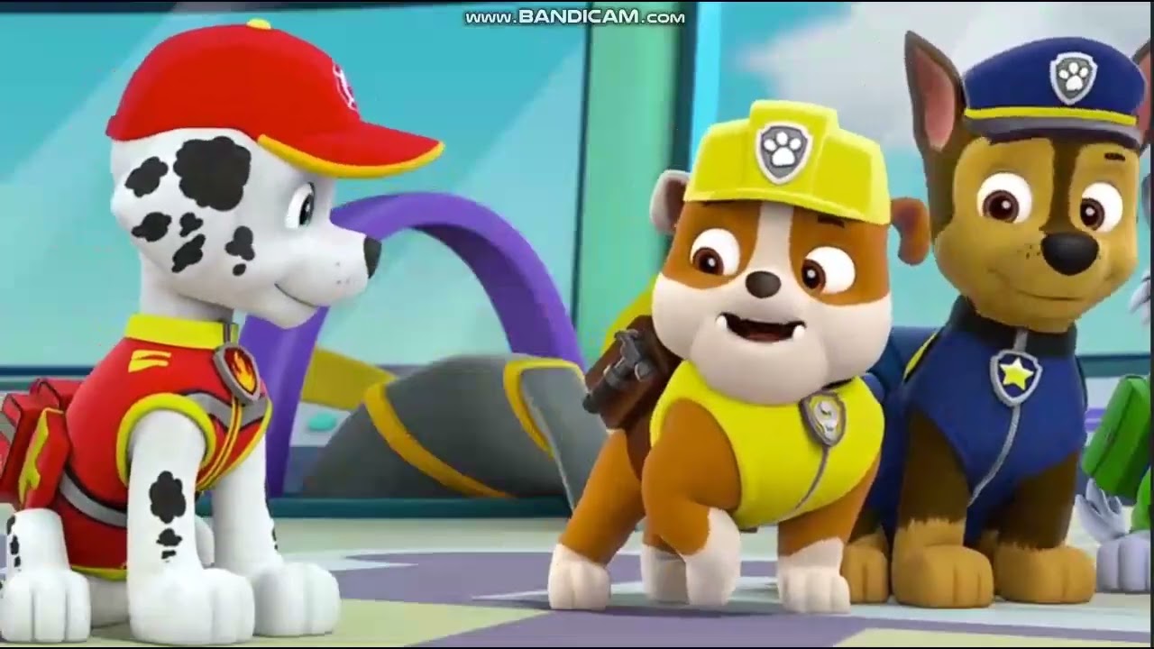 Paw Patrol &ldquo;Paw Patrol Ready For Action Ryder Sir!&rdquo;(Seasons 1-11 & Part Of Season 12 Compilation)