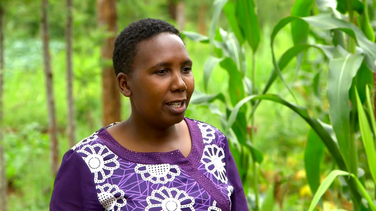 Munda Make Over Series 3-Ep 6: Certified Seeds, Pest & Disease, Post-Harvest and Fish Farming (Eng)