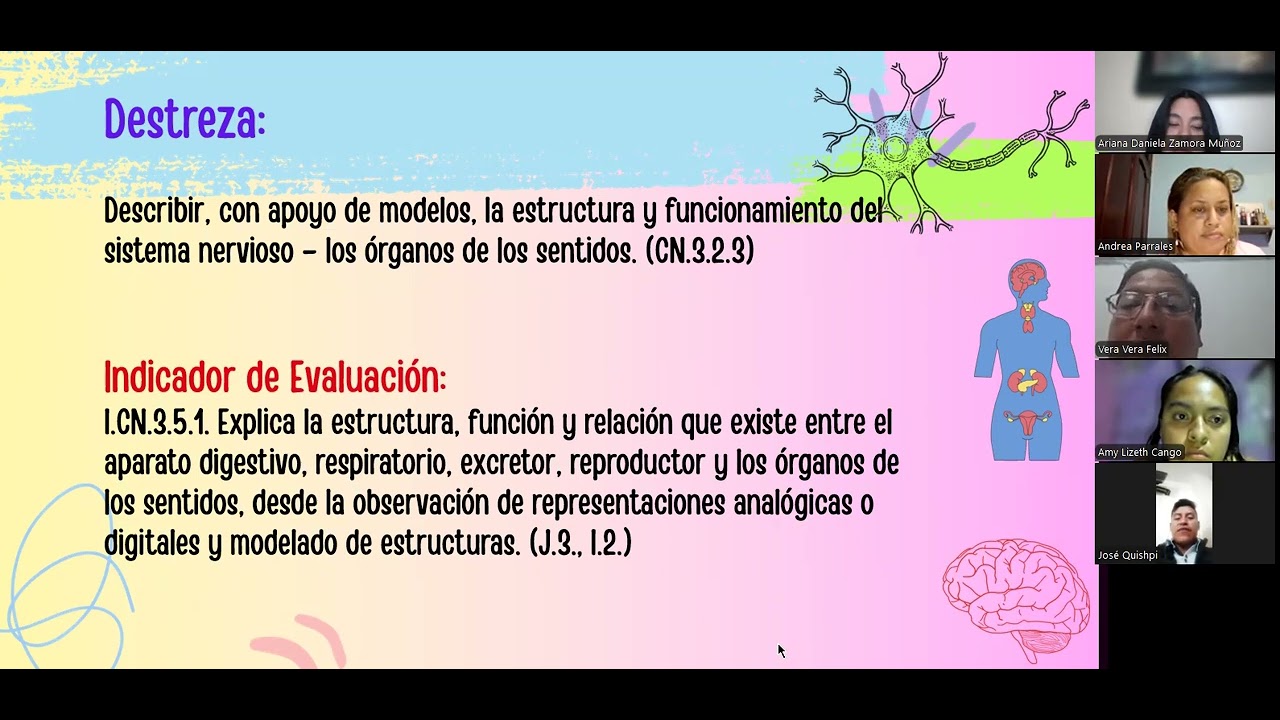 Desarrollo de la Neuroplasticidad mediante estrategias activas para fortalecer el aprendizaje