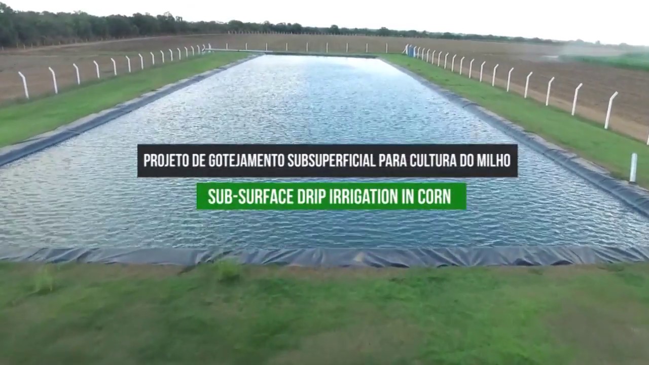 IRRIGAÇÃO INOVADORA - Projeto de Irrigação por Gotejamento Syngenta e NaanDanJain